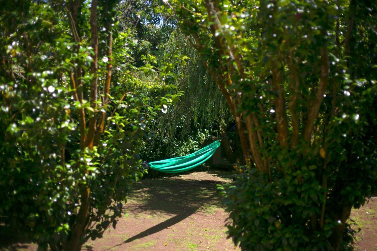 Villa Varzea - Garden Suite Exterior foto